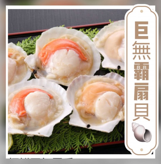 巨無霸扇貝