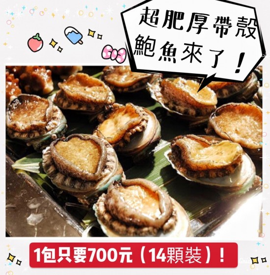 超好吃的帶殼鮑魚
