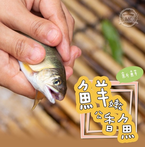 新鮮嚴選香魚