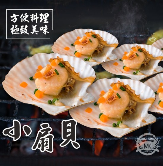 小扇貝