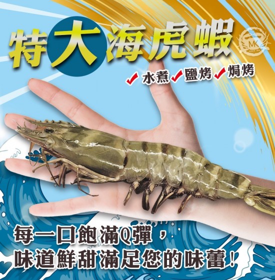 海虎蝦超大~