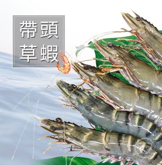 帶頭草蝦