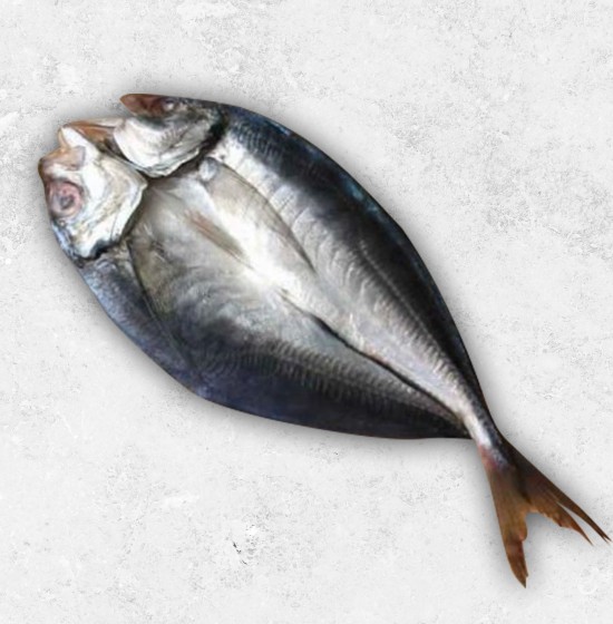 風情萬種竹筴魚一夜干