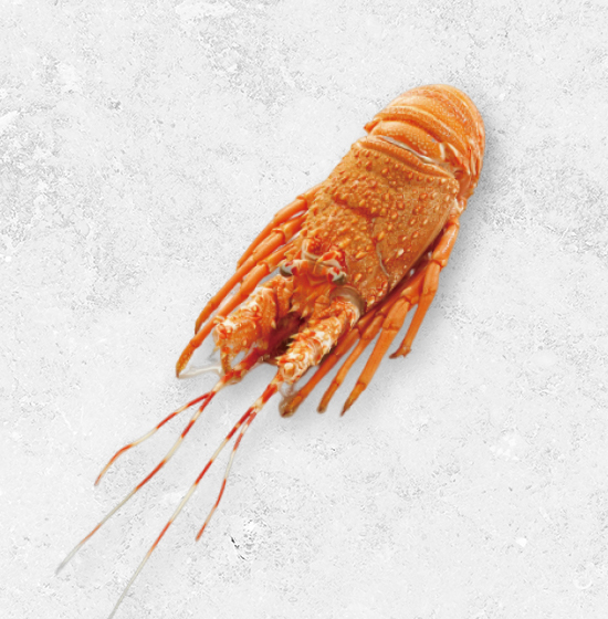 熟凍小龍蝦