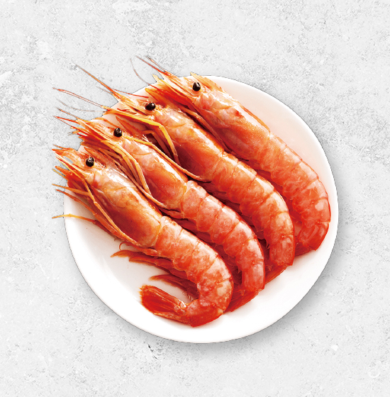 天使紅蝦