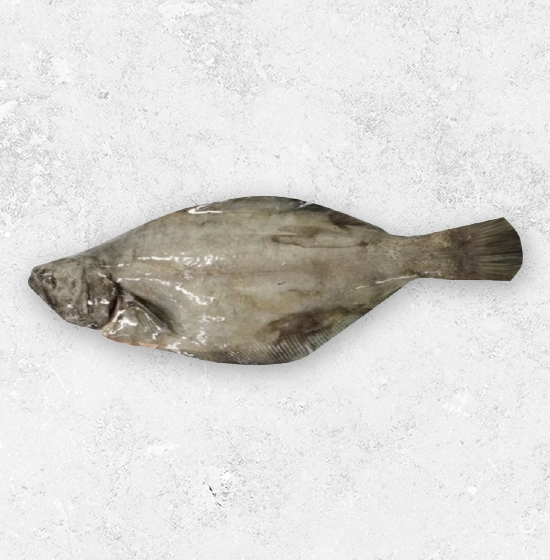 小鱈魚