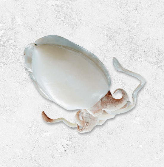 帶頭花枝(二去/三去)